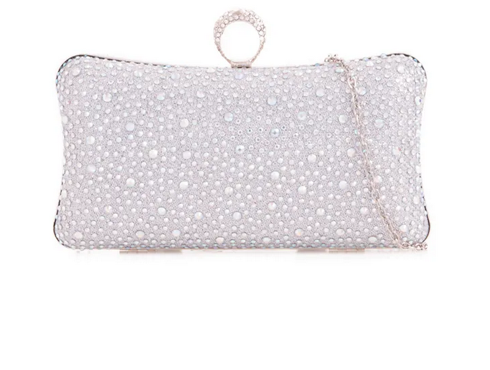 Tl2584 Ring Clasp Small Hard Clutch Bag Silver