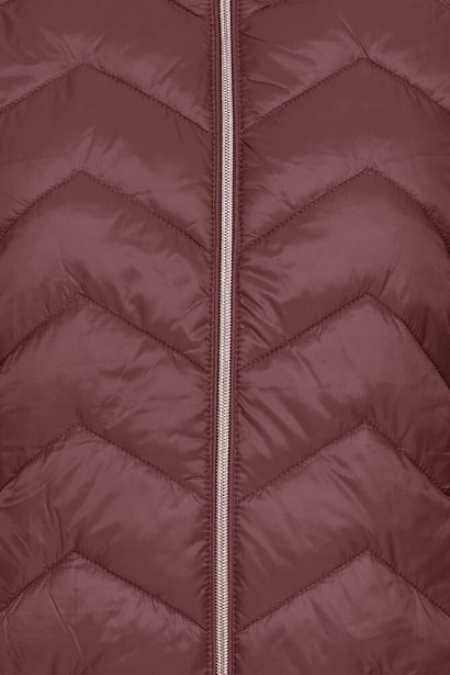 20610720 Short Green Hooded Coat Fudge