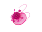 Ab18027 Big Disc With Feather And Stick Fushia