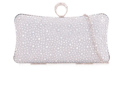 Tl2584 Ring Clasp Small Hard Clutch Bag Silver