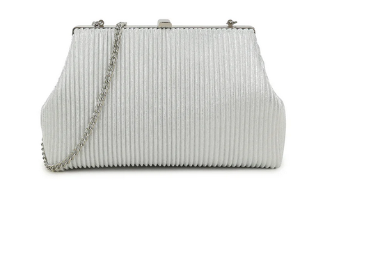 Z3044 Accordian Pleat Small Metalic Clut Silver
